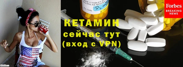 крисы Баксан