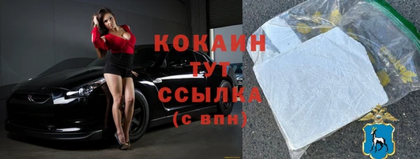 крисы Баксан