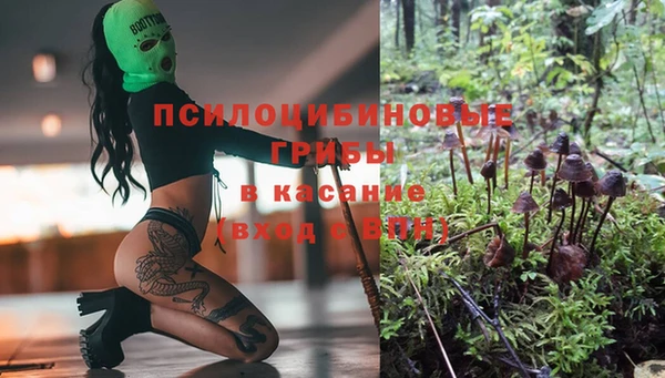 крисы Баксан