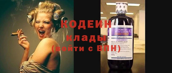 крисы Баксан