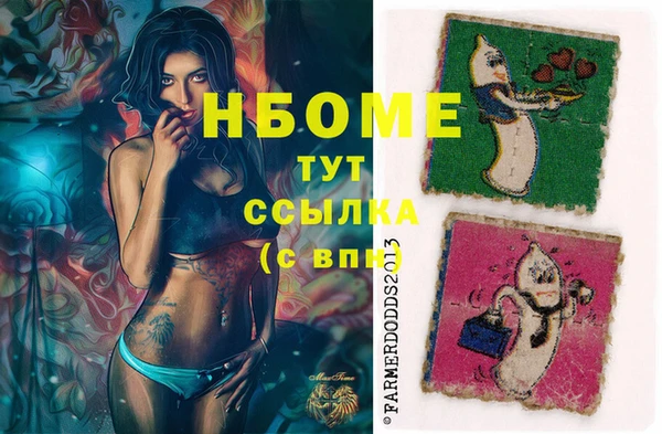 крисы Баксан