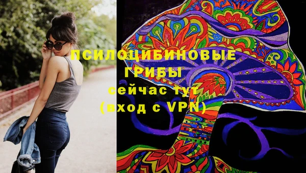 крисы Баксан