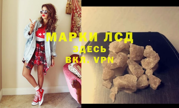крисы Баксан