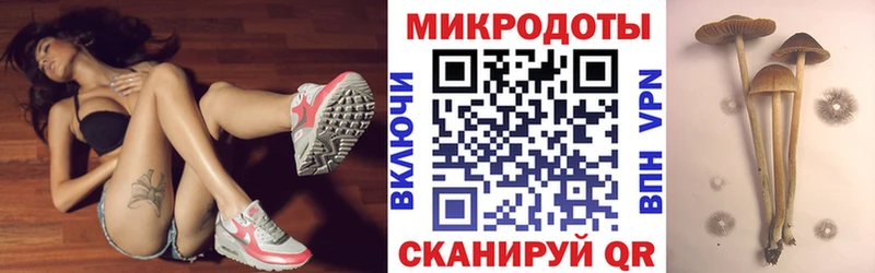 купить наркотик  нарко площадка Telegram  Псилоцибиновые грибы Psilocybine cubensis  Новотитаровская 