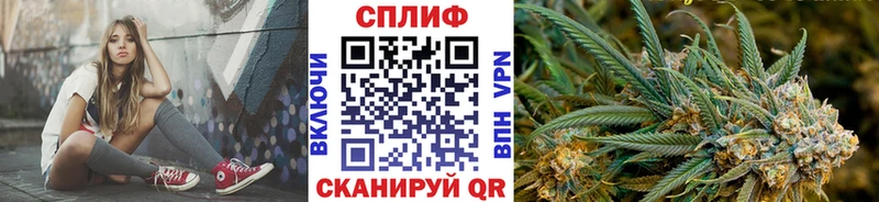 Канабис OG Kush Новотитаровская